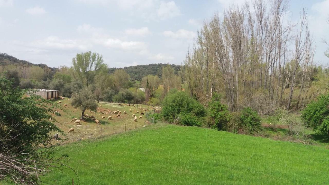 Casa Rural El Jardin Del Hueznar San Nicolás del Puerto Exterior photo